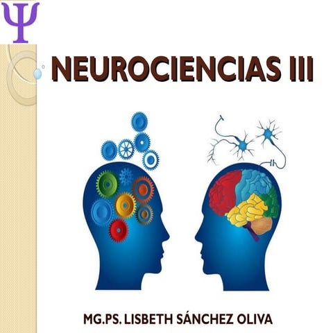 Clases de neurociencias iii 2015 2