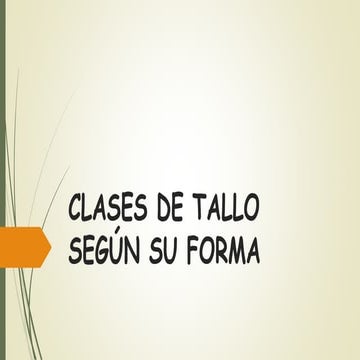 El tallo y su clasificación | PPTX