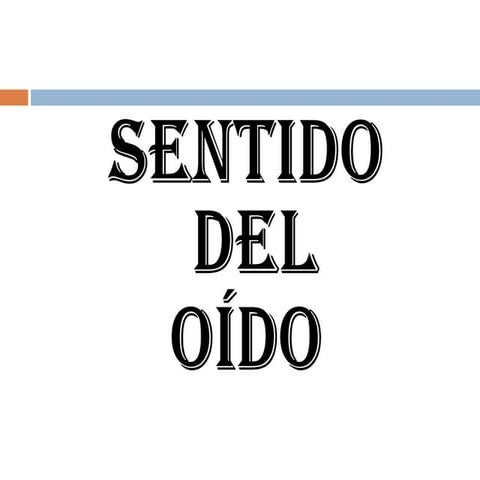 Clase sentido del oído  