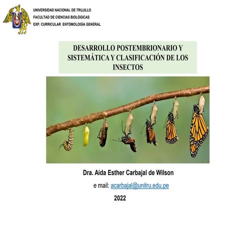 Desarrollo de los insectos | PPTX