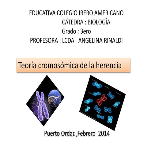 Clase teoria cromosomica de la herencia