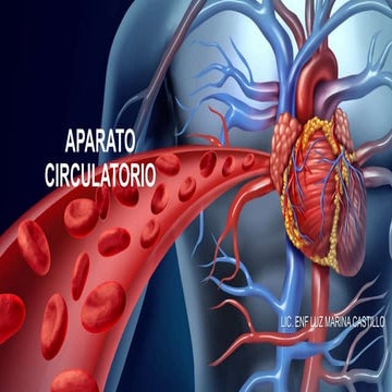 CLASE XIV, XV-1º Y 2º PARTE APARATO CIRCULATORIO.pptx
