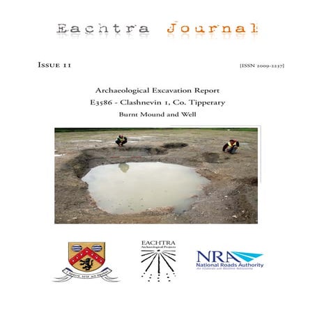 Archaeological Report - Clashnevin 1, Co. Tipperary (Ireland)
