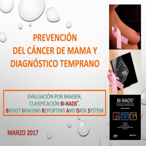 Clasificación birads mx y usg