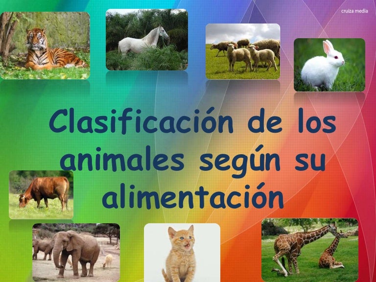 Clasificación de animales según su alimentación Clasificación de animales según su alimentación