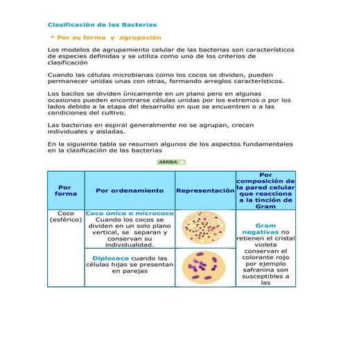 CLASIFICACION DE LAS BACTERIAS EUCARIOTAS Y PROCARIOTAS | PPTX