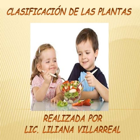 Clasificación de las plantas