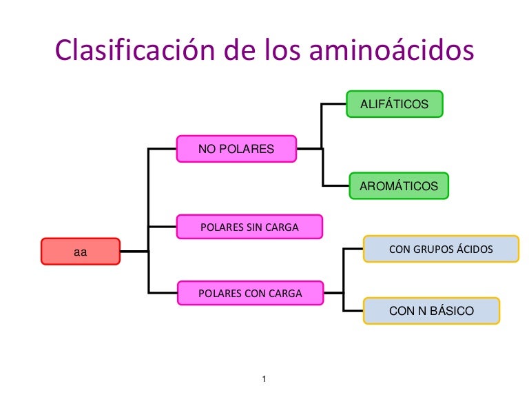 Clasificación de los aminoácidos