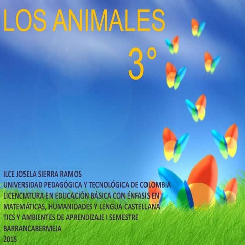 Clasificación de los animales