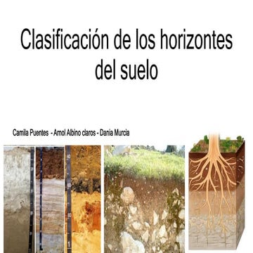 Clasificación de los horizontes del suelo (2).pptx