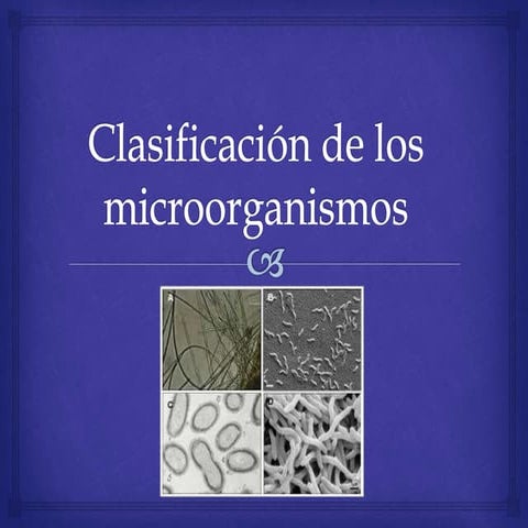 Clasificación de los microorganismos.