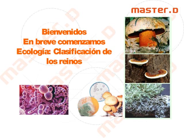 Clasificación de los seres vivos