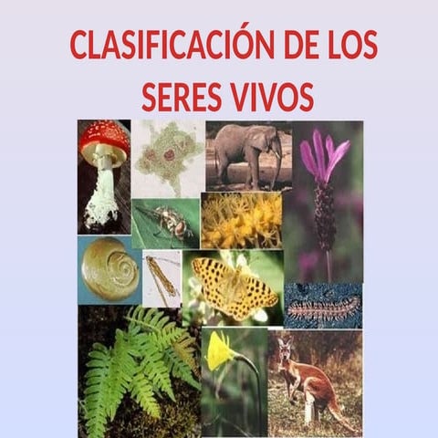 CLASIFICACIÓN DE LOS SERES VIVOS..pptx..