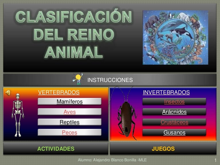 dieta baja en colesterol y trigliceridos Mentalidad