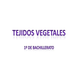 Clasificación de tejidos vegetales
