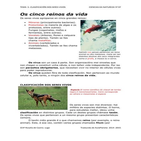 Clasificación dos seres vivos