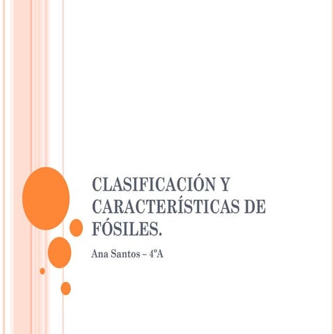 Clasificación y características de fósiles