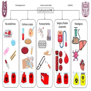 clasificacion-rpbi.pdf residuos peligrosos biológicos infeccionsos | PDF