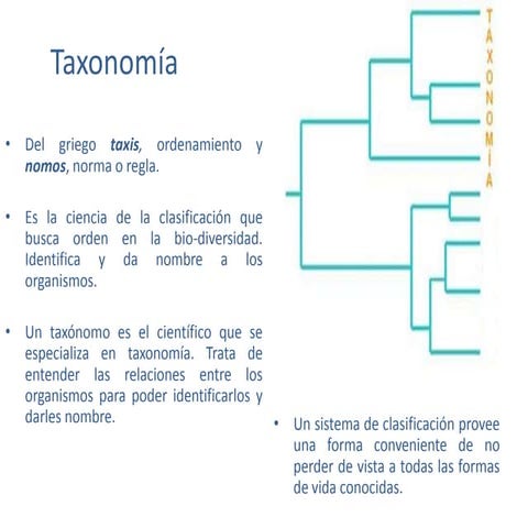 Clasificacion binomial