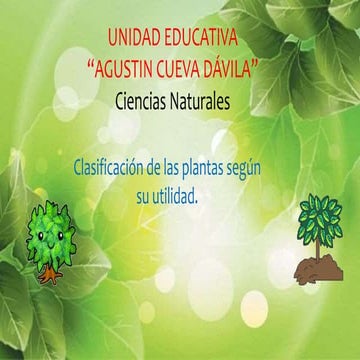 Clasificacion de las plantas por su utilidad