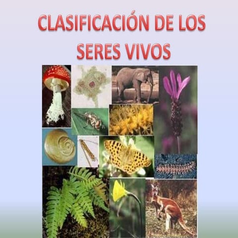 Clasificacion de los seres vivos