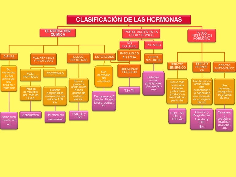 PPT HORMONAS PowerPoint Presentation, free download ID2228302