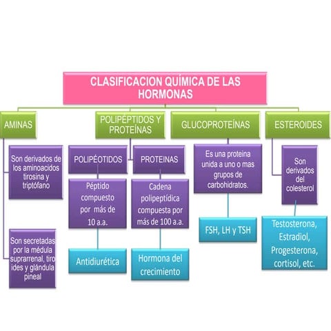 Clasificacion química de las hormonas