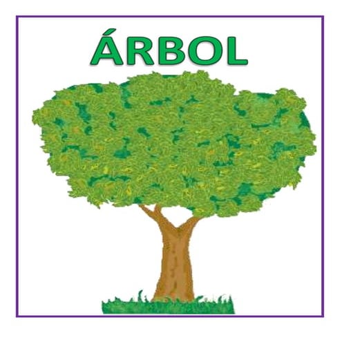 Clasificar frutas en_árbol_o_planta