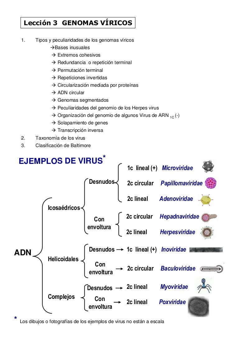 eliminați papilomii din orașul ob traitement hpv huile essentielle