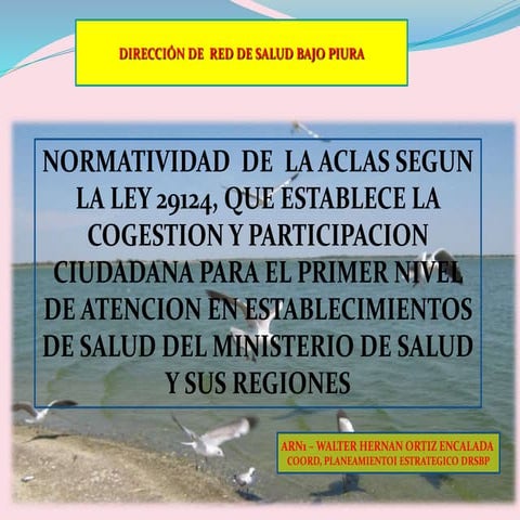 Clas  normatividad ley 29124