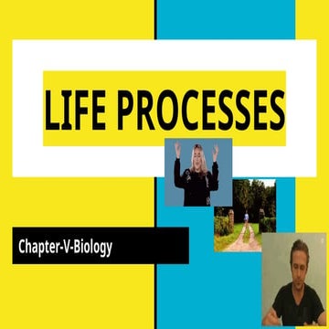 Life process | PPTX