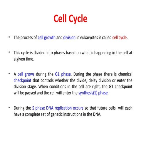 Class 3-cell division & mito