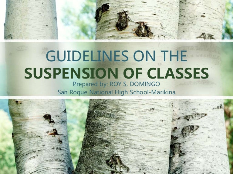 Guidelines on the Suspension of Classes