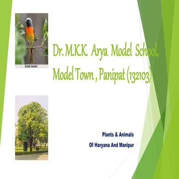 Class- VII Plants and Animals found in Haryana & Manipur.pptx