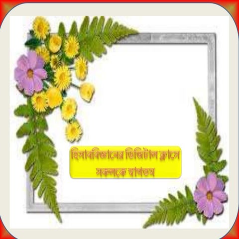 Accounting-0137 Chapter 3 Lecture 1