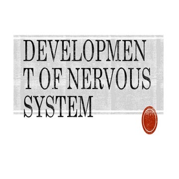Development of CNS