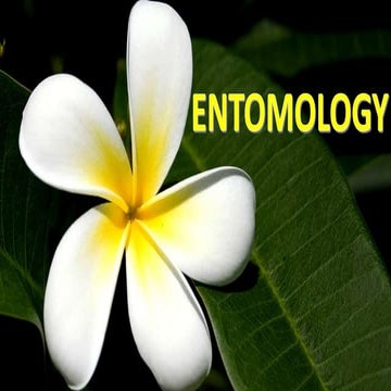 Introduction to entomology