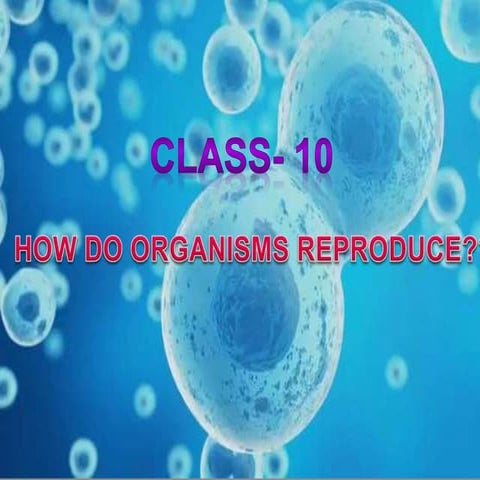 how do organisms reproduce