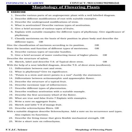 Class 11 Important Questions for Biology - Morphology of Flowering Plants