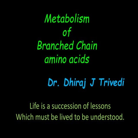 Branch chain Amino Acid Metabolism
