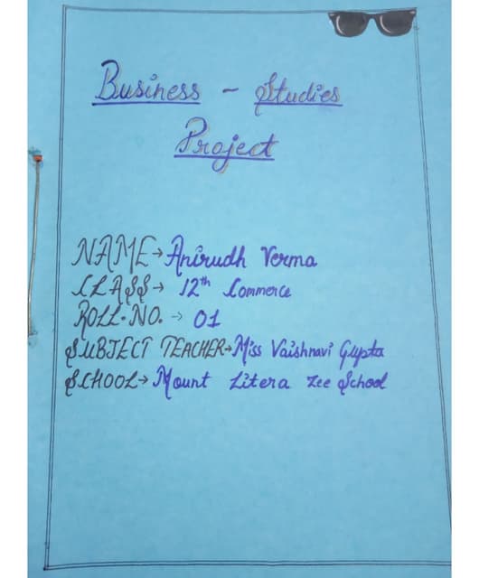 business studies 12th class project.pdf