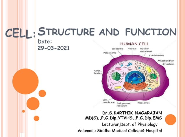 Cell: Structure & Function | PPTX
