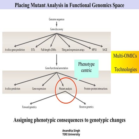 Comprehensive Overview of Mutant Analysis in Functional Genomics and ...