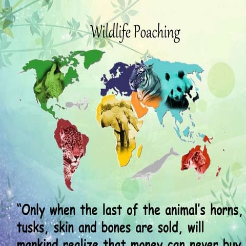 Class 2. Wildlife Poaching ppt.pptx
