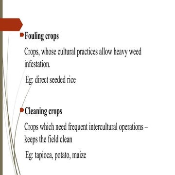 Classification of crops- Crops in Agriculture.pptx