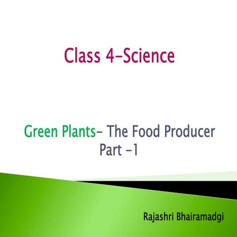 Green plants- the food producers