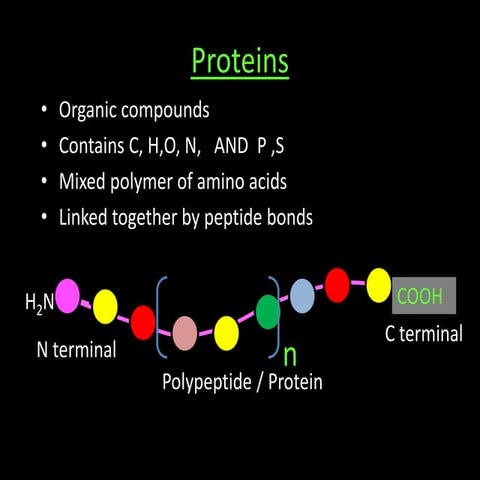 Class 5 protein functional classification