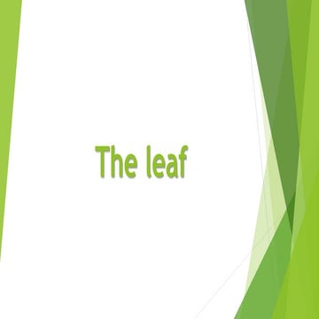 The Leaf - I | PPTX