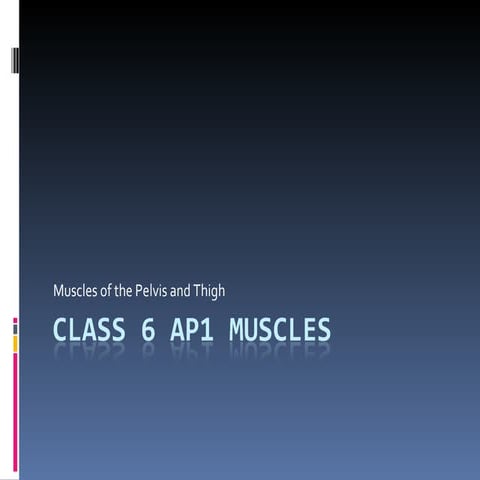 Class 6 Ap1 Muscles