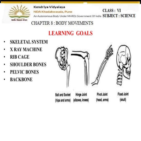 Class 6 chapter 8 ppt 2